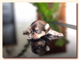 ��������� ����� ������� �������� ������