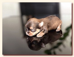 ��������� ����� ������� �������� ������