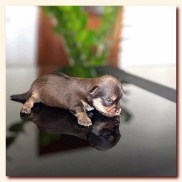 ��������� ����� ������� �������� ������