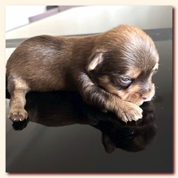 ��������� ����� ������� �������� ������