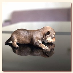 ��������� ����� ������� �������� ������