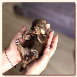 ��������� ����� ������� �������� ������