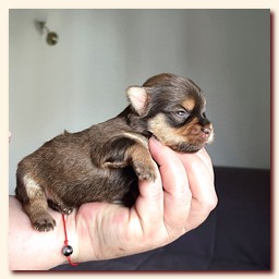 ��������� ����� ������� �������� ������