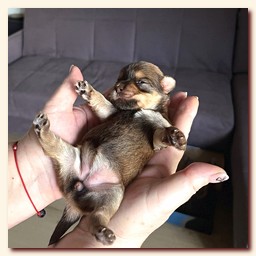 ��������� ����� ������� �������� ������