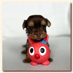 ��������� ����� ������� �������� ������