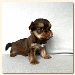 ��������� ����� ������� �������� ������