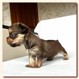 ��������� ����� ������� �������� ������