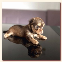 ��������� ����� ������� �������� ������