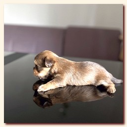 ��������� ����� ������� �������� ������