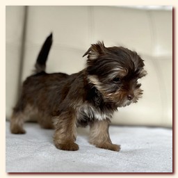 ��������� ����� ������� �������� ������