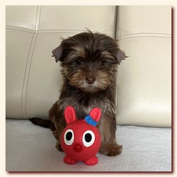 ��������� ����� ������� �������� ������