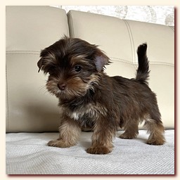 ��������� ����� ������� �������� ������