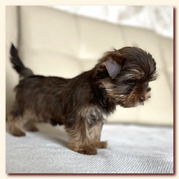 ��������� ����� ������� �������� ������