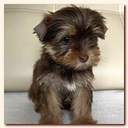 ��������� ����� ������� �������� ������