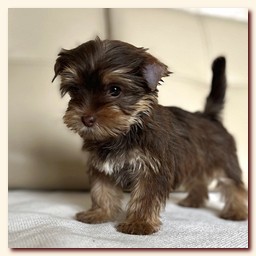 ��������� ����� ������� �������� ������