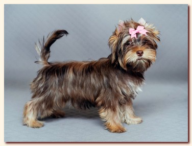 ��������� ����� ������� �������� ������