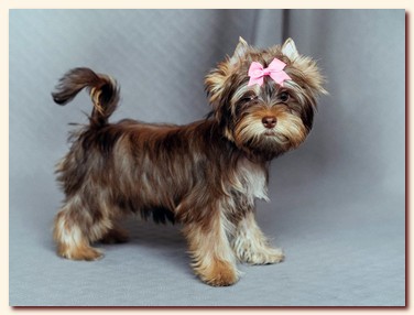 ��������� ����� ������� �������� ������