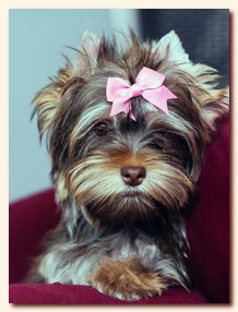 ��������� ����� ������� �������� ������