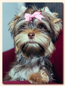 ��������� ����� ������� �������� ������