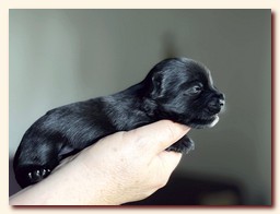 ��������� ����� ������� �������� ������