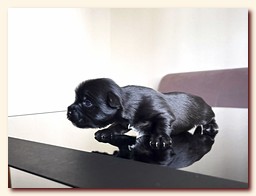 ��������� ����� ������� �������� ������