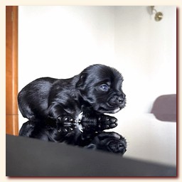 ��������� ����� ������� �������� ������