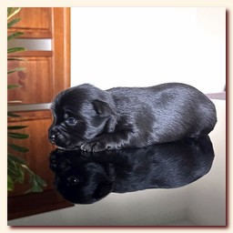 ��������� ����� ������� �������� ������