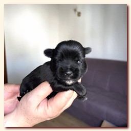 ��������� ����� ������� �������� ������