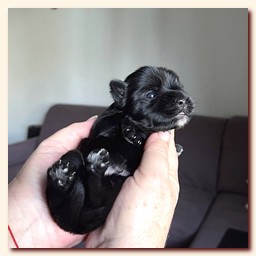 ��������� ����� ������� �������� ������