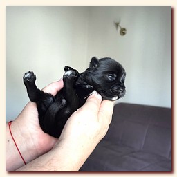 ��������� ����� ������� �������� ������