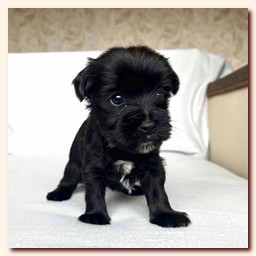 ��������� ����� ������� �������� ������