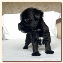 ��������� ����� ������� �������� ������