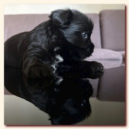 ��������� ����� ������� �������� ������