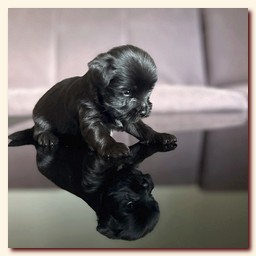 ��������� ����� ������� �������� ������