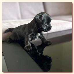 ��������� ����� ������� �������� ������