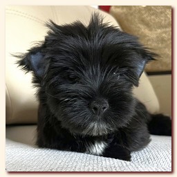 ��������� ����� ������� �������� ������