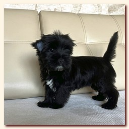 ��������� ����� ������� �������� ������