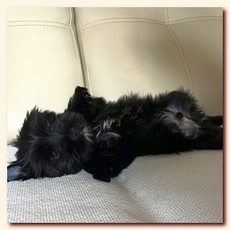 ��������� ����� ������� �������� ������