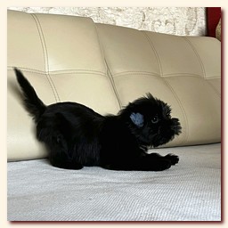 ��������� ����� ������� �������� ������