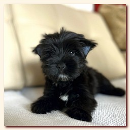 ��������� ����� ������� �������� ������