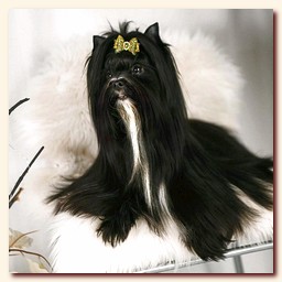 ������� �������� ������ ��� ������ �������