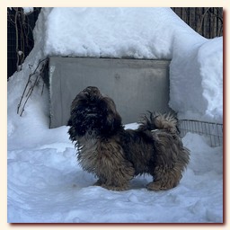 ��������� ����� ��-��� �� ��������� �������