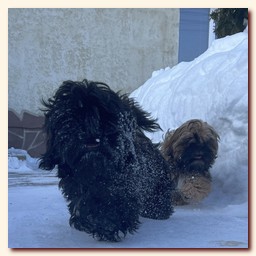 ��������� ����� ��-��� �� ��������� �������