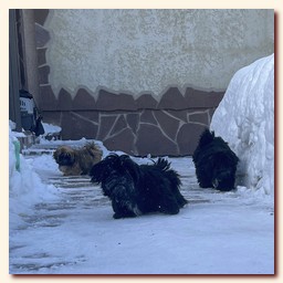 ��������� ����� ��-��� �� ��������� �������