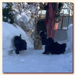 ��������� ����� ��-��� �� ��������� �������