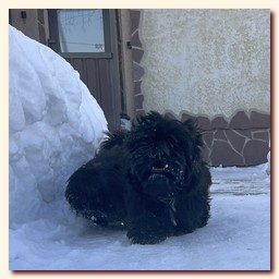 ��������� ����� ��-��� �� ��������� �������