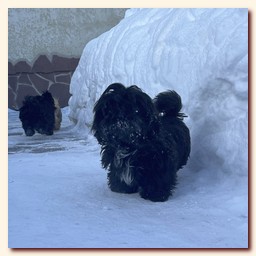 ��������� ����� ��-��� �� ��������� �������