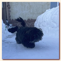 ��������� ����� ��-��� �� ��������� �������