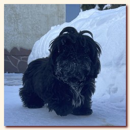 ��������� ����� ��-��� �� ��������� �������