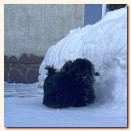 ��������� ����� ��-��� �� ��������� �������